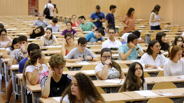 La Universidad de Córdoba tiene aún sin cubrir el 30 por ciento de sus plazas de grado