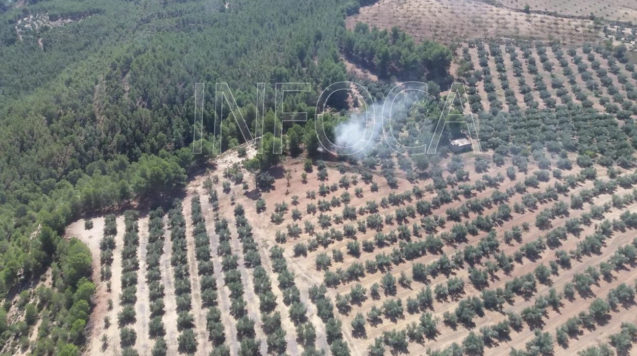 Paraje en el que se ha producido el incendio