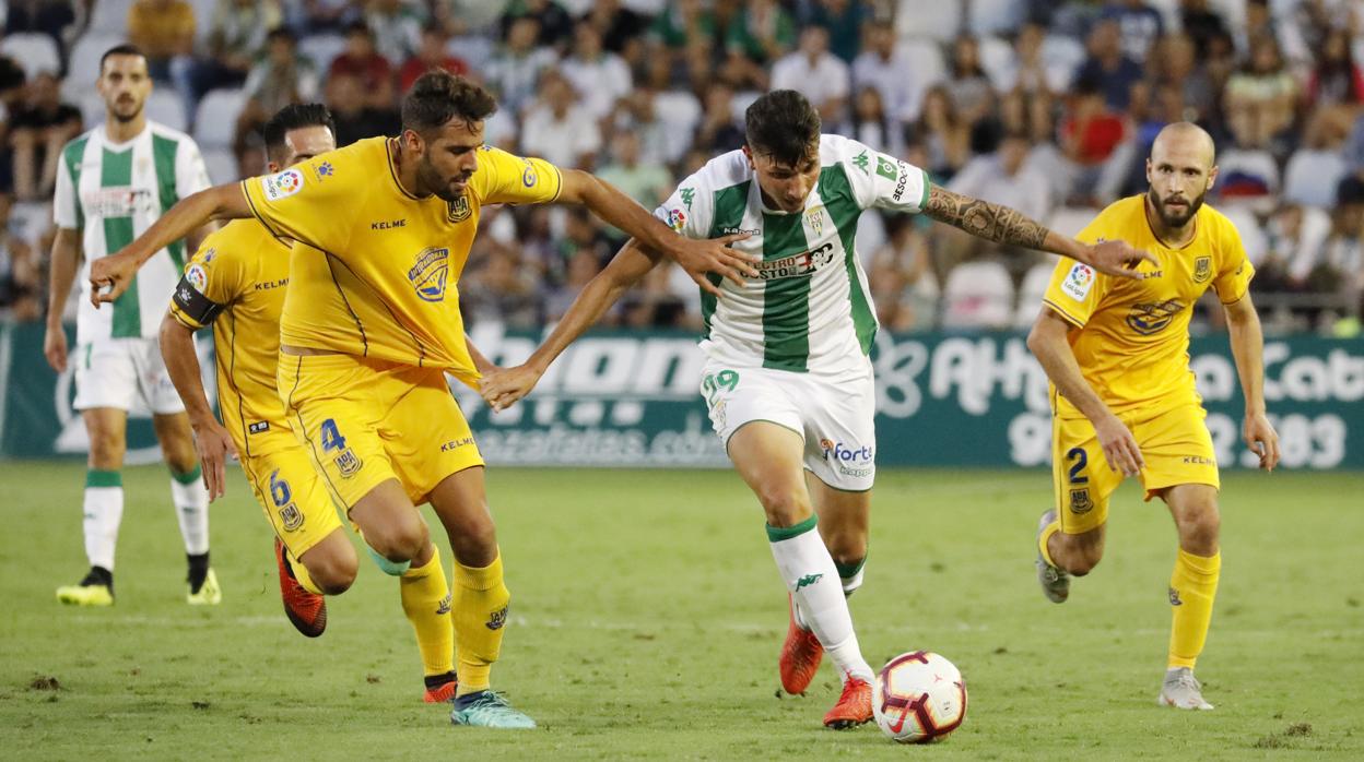 El delantero del Córdoba CF Erik Expósito pelea con Burgos ante el Alcorcón