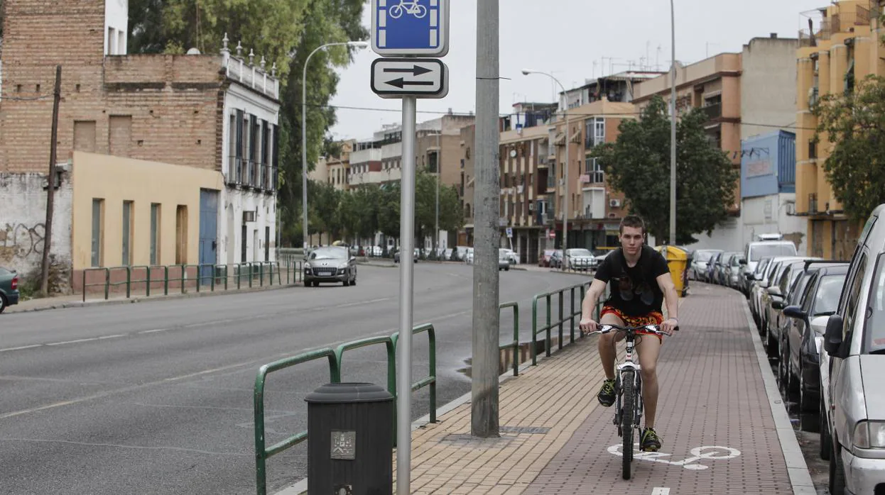 Un joven circula por el carril bici de la avenida de Libia en Córdoba