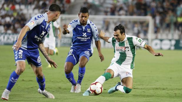 Las puntuaciones de los jugadores del Córdoba CF ante el CD Tenerife