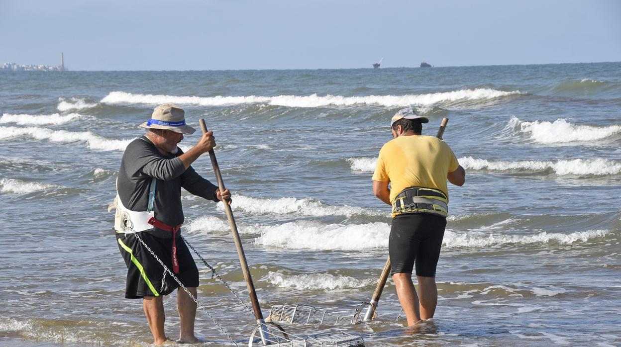 Los mariscadores de la costa occidental de Huelva podrán faenar en las playas de Doñana