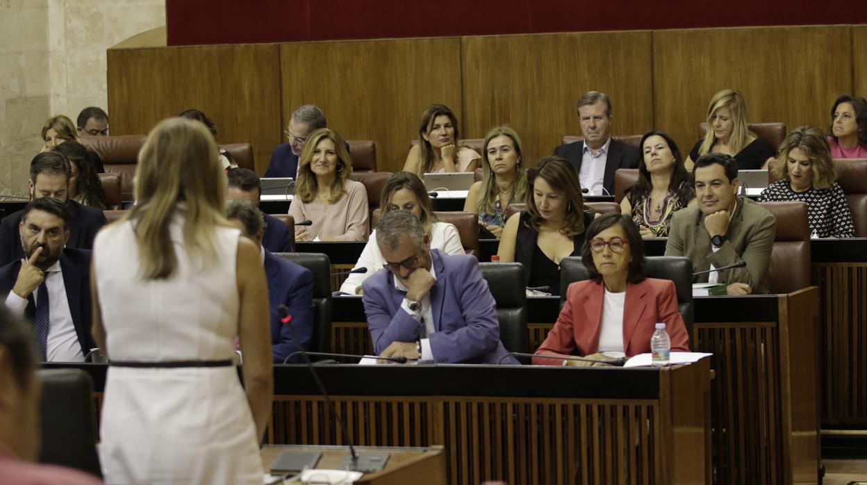 Susana Díaz en la sesión de control al gobierno andaluz, en el Parlamento de Andalucía