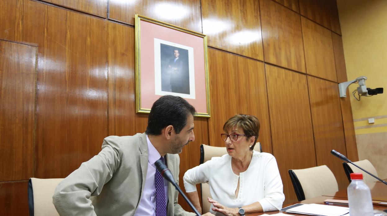 La presidenta, Marisa Bustinduy, en la reunion de la comisión de investigación de la Faffe