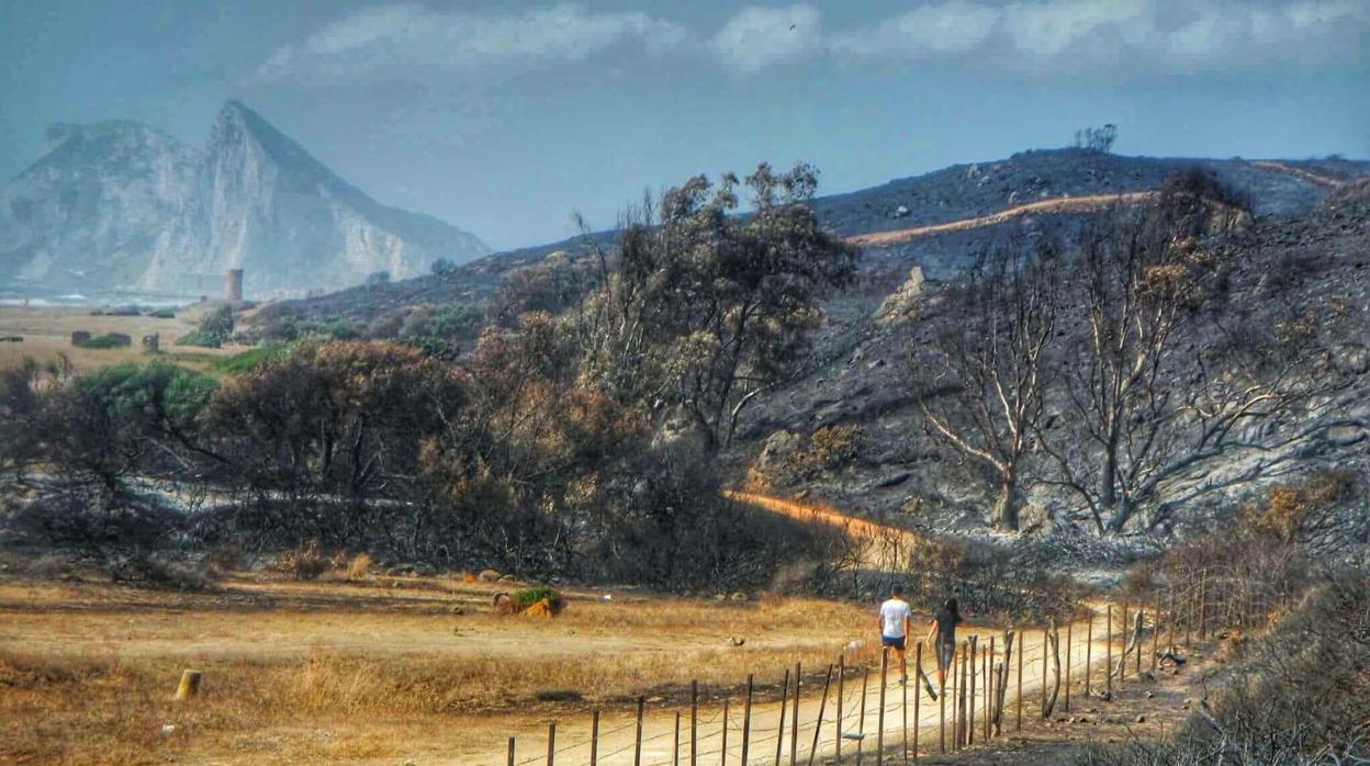 Imagen de la zona que quedó calcinada en La Línea hace dos años.