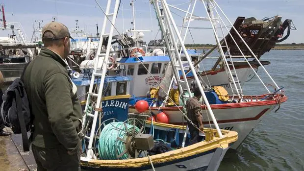 El sector de la chirla decide volver al mar tras una propuesta «in extremis» de la Junta de Andalucía