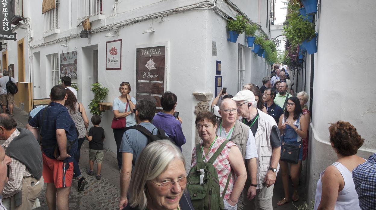 Participantes durante el último Festival de las Callejas de Córdoba