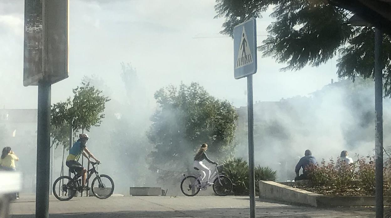 Incendio ocurrido en la tarde del domingo en el Plan Renfe