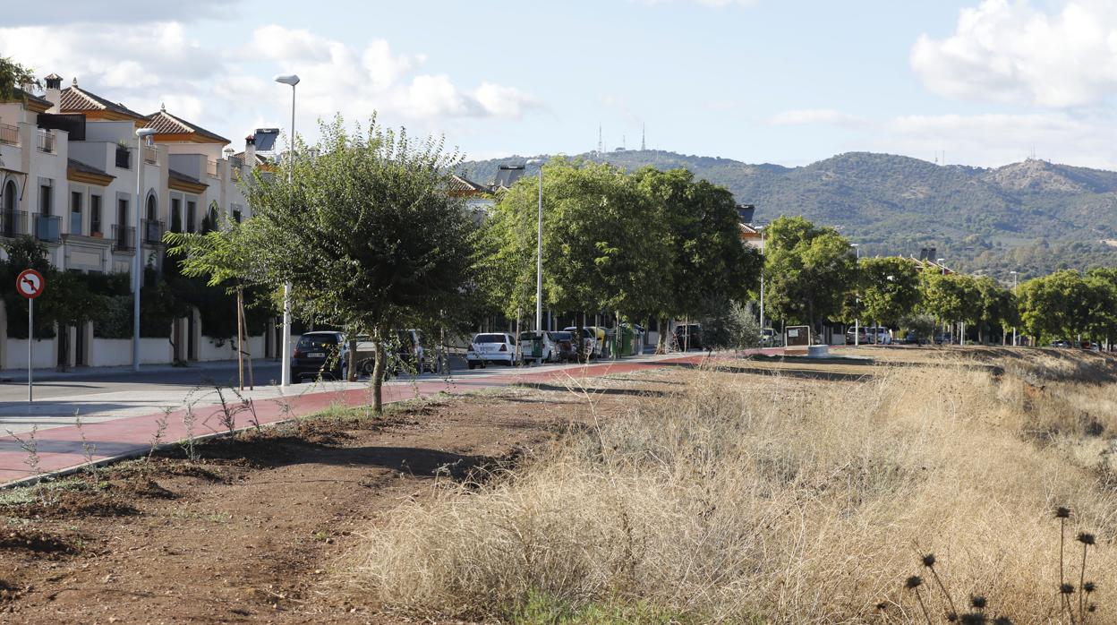 Carril bici y zona sin ajardinar en la calle Alhelí, en la urbanización de Mirabueno en Córdoba