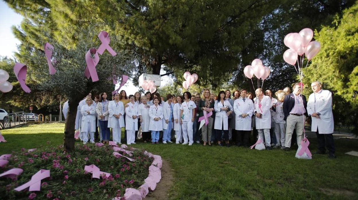 Actos de celebración del día contra el Cáncer de Mama en el Hospital Provincial Reina Sofía