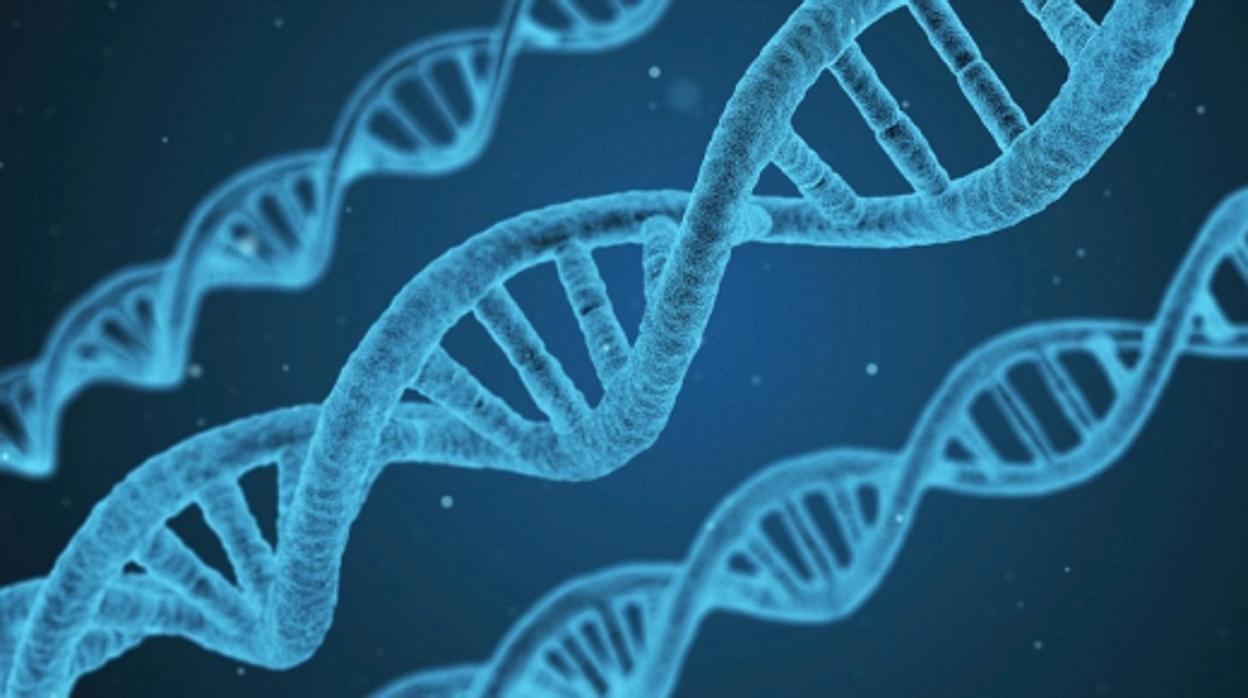 El ADN influye en la configuración de la personalidad como un todo.