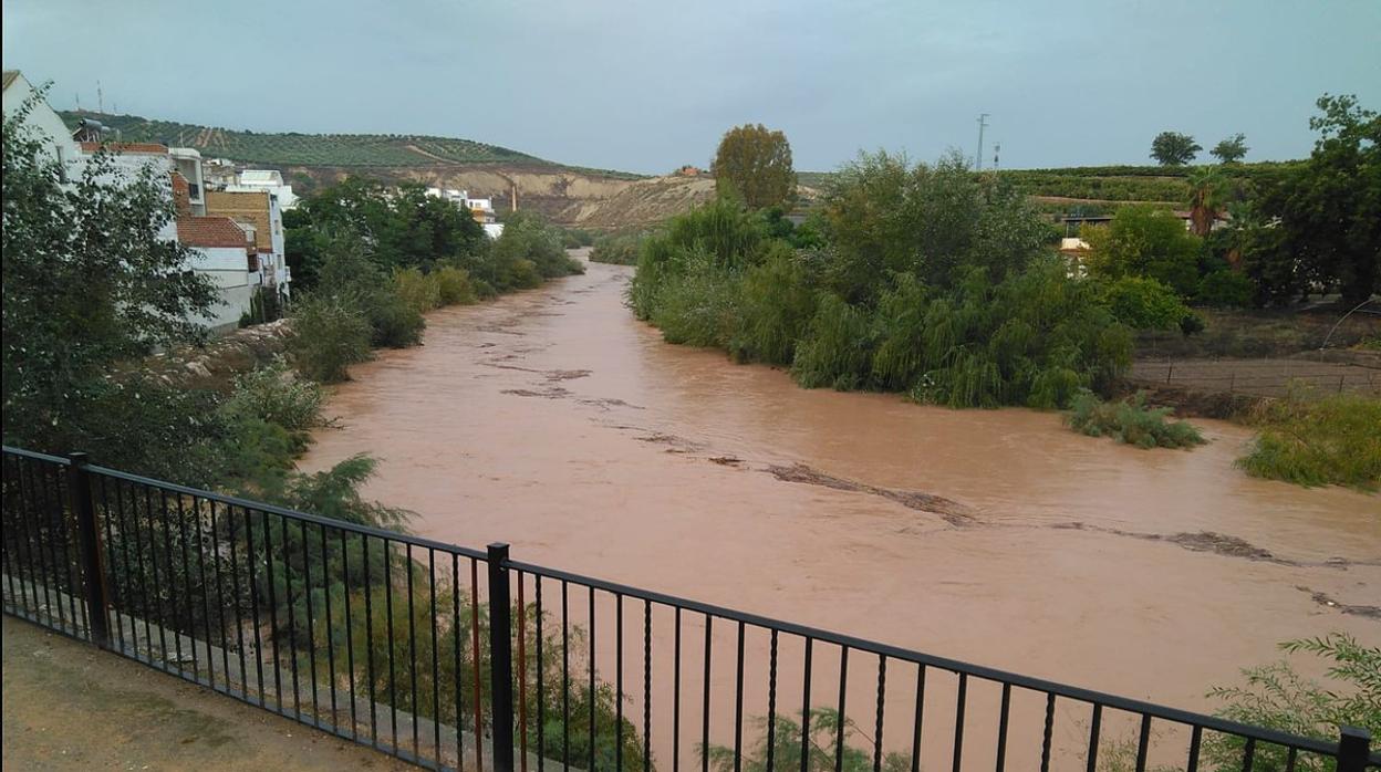 El río Genil a su paso por Puente Genil tras las últimas crecidas