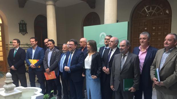 Andalucía producirá la segunda cosecha de aceite de oliva más elevada de la historia