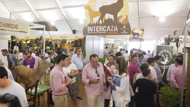 La feria Intercaza de Córdoba pide a gritos un recinto digno para afianzar su liderazgo