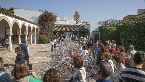 El Festival Flora de Córdoba se despide con «éxito de público», según el Ayuntamiento