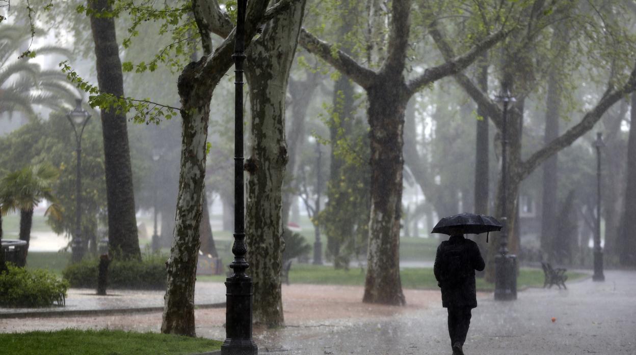 Un hombre camina bajo la lluvia en los Jadines de Agricultura