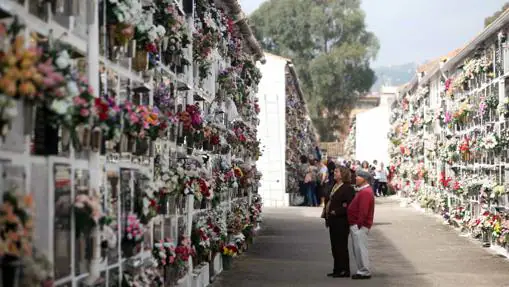 Galería de nichos en un cementerio de Córdoba