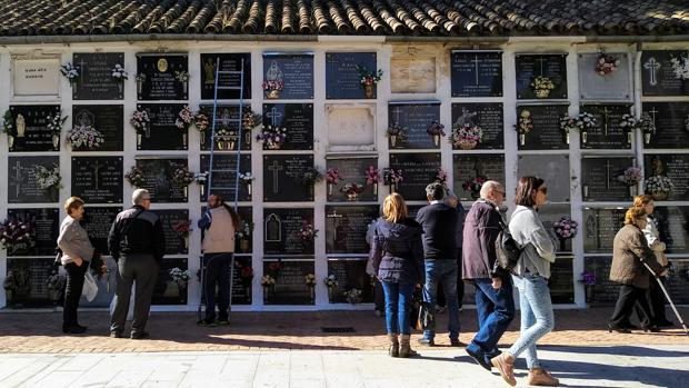 Flores para los que ya no están en el Día de Todos los Santos en Córdoba