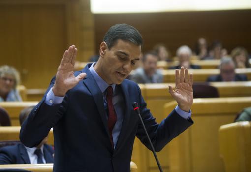 Pedro Sánchez, en una comparecencia en el Senado