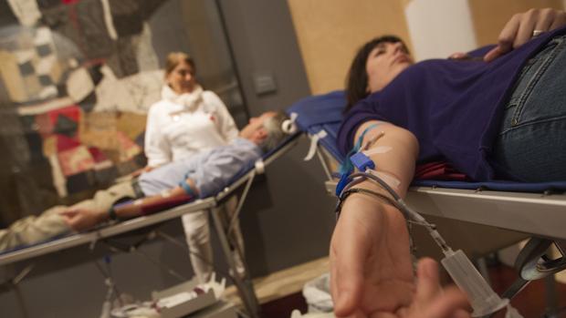 ¿Dónde puedes donar sangre del 12 al 18 de noviembre en Córdoba?