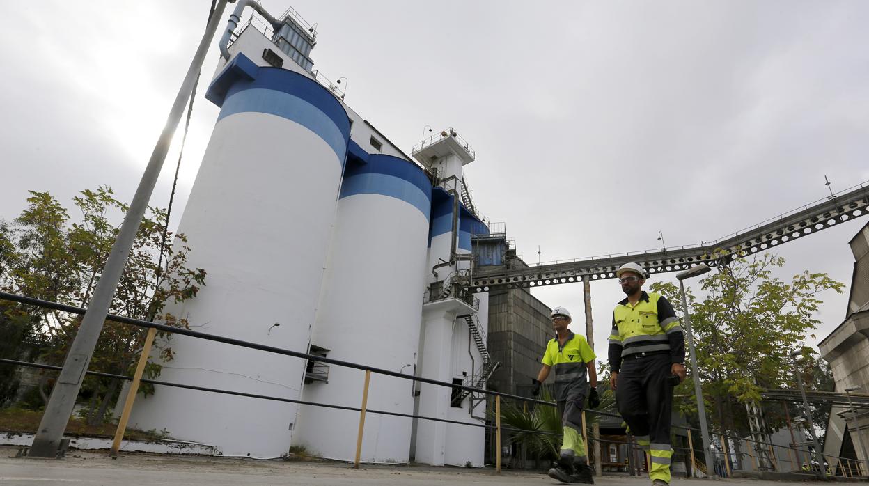 Trabajadores de la cementera Cosmos en las instalaciones