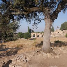 Una investigación halla dos nuevos edificios en el yacimiento de Medina Azahara de Córdoba