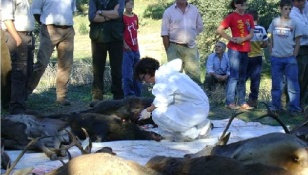 La Junta otorga a los cazadores funciones de control sanitario en un nuevo decreto