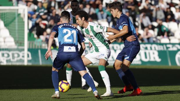 Las notas de los jugadores del Córdoba CF ante el Elche CF