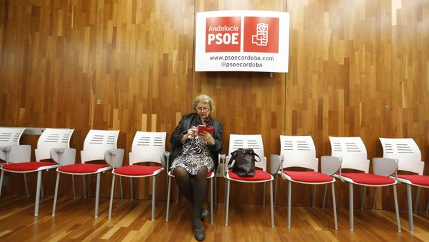 Elecciones andaluzas de 2018 | Solitaria espera a la hora de la verdad en el PSOE de Córdoba