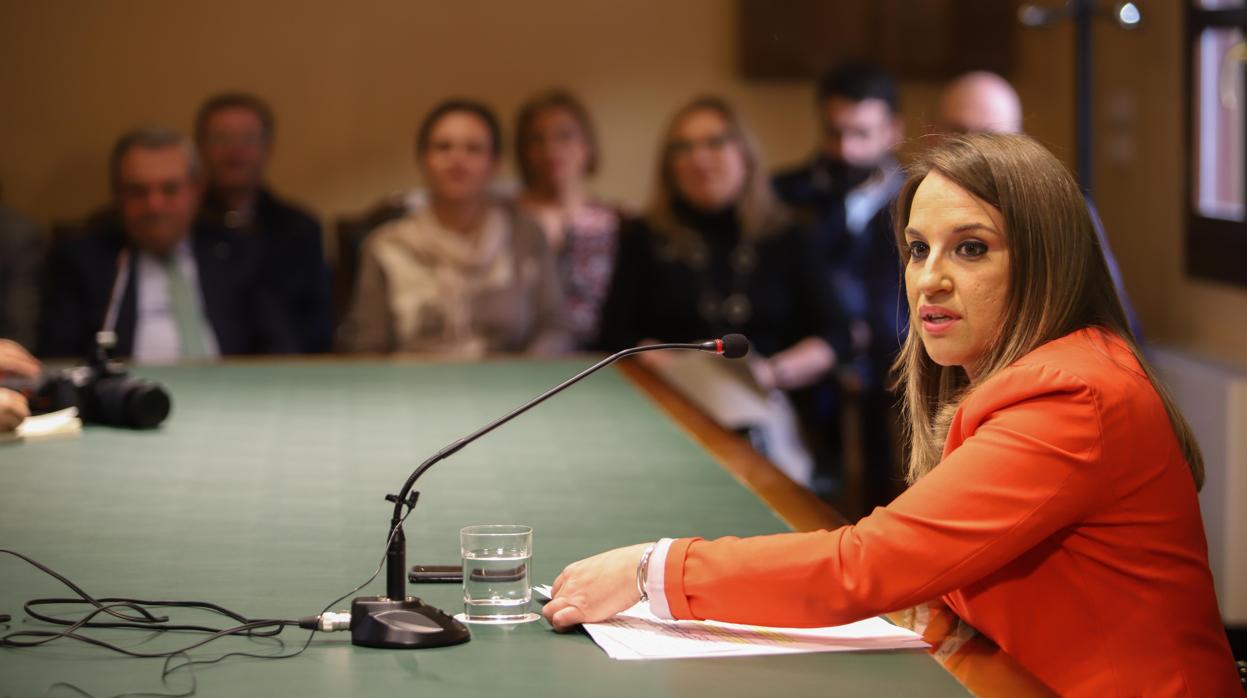 La delegada del Gobierno, en una comparecencia con los delegados provinciales de las Consejerías al fondo