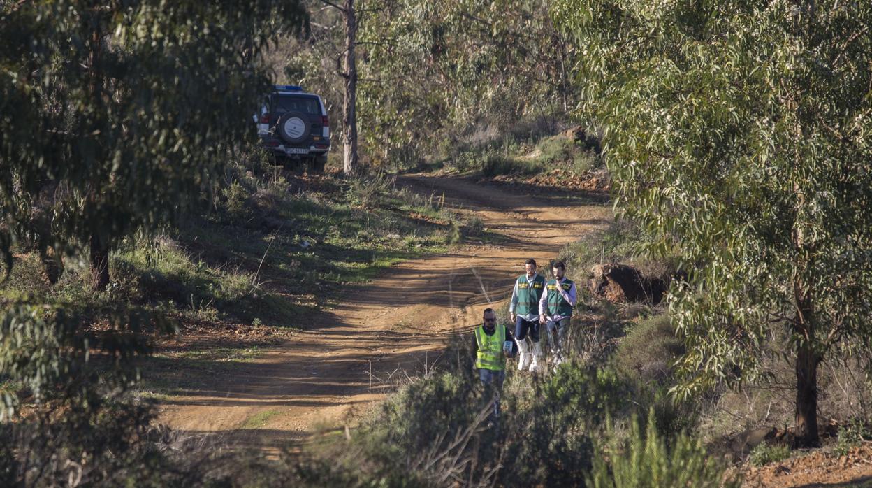 Hallan el cadáver en una zona del Paraje de los Mimbrales en El Campillo