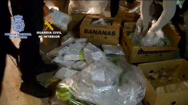 Incautan 1.000 kilos de cocaína oculta en aguacates en Vélez-Málaga