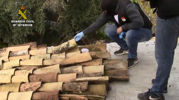 Caen una banda criminal de 9 personas acusadas de tráfico de drogas en el Alto Guadalquivir