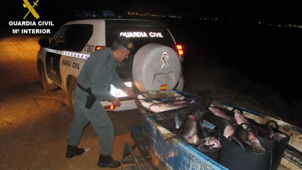 La Guardia Civil sorprende a un furtivo mientras pescaba en zona protegida en Marismas del Odiel