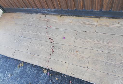 Rastro de sangre en la puerta de la vivienda de Marbella en la que se ha cometido el crimen