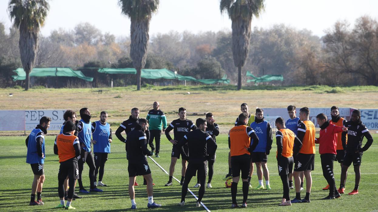 La plantilla del Córdoba CF durante un entremiento a las órdenes de Curro Torres