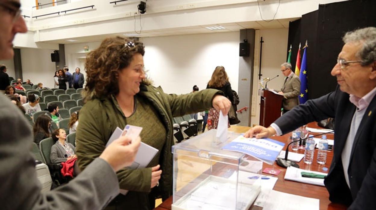 Votaciones del claustro de la Universidad de Málaga