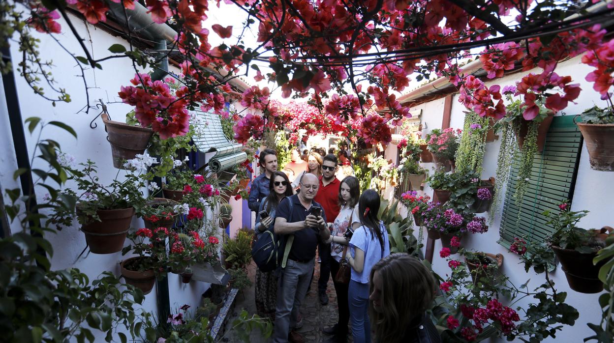 Visitantes en el patio de Marroquíes, 6, uno de los más premiados en Córdoba