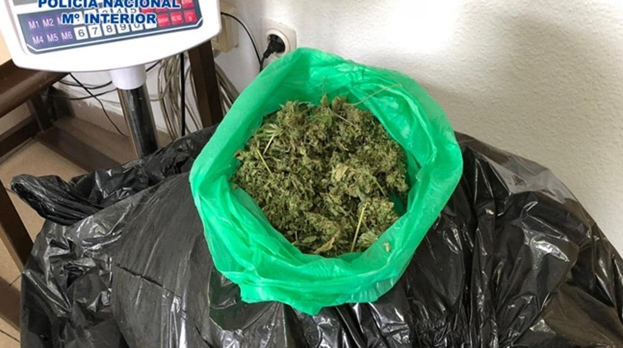 Marihuana encontrada en bolsas de basura congeladas en un arcón