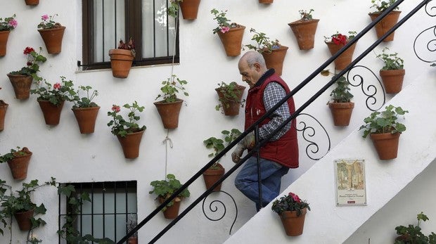 Patios de Córdoba | La crisis generacional y las pocas ayudas municipales obligan a revisar el modelo