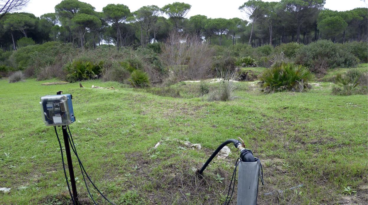 Pozo ilegal en la zona de la Rocina en el parque de Doñana