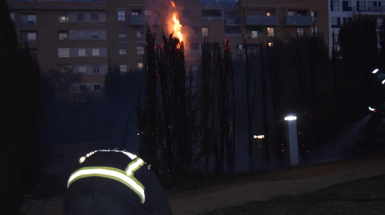 Los bomberos de Jaén han extinguido el fuego con rapidez