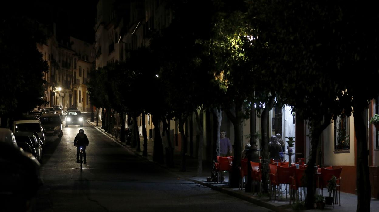 La calle San Fernando, con muy poca luz por la alta densidad de los naranjos