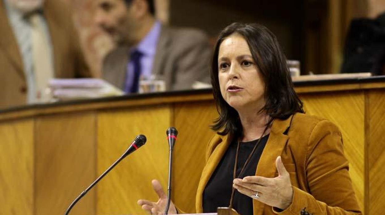 La viceconsejera de Salud, Catalina García, durante una intervención en el Parlamento de Andalucía