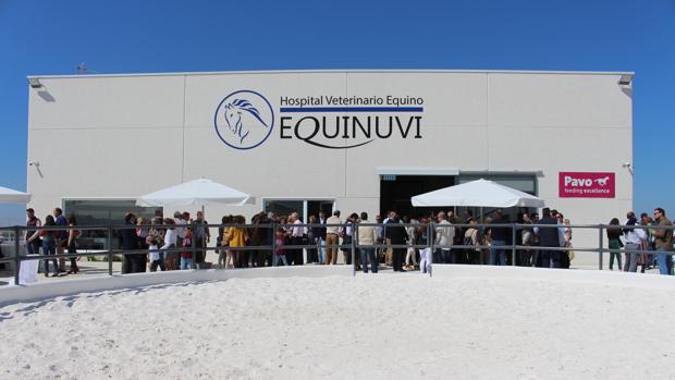 Equinuvi, una innovadora clínica veterinaria para caballos desembarca en La Carlota