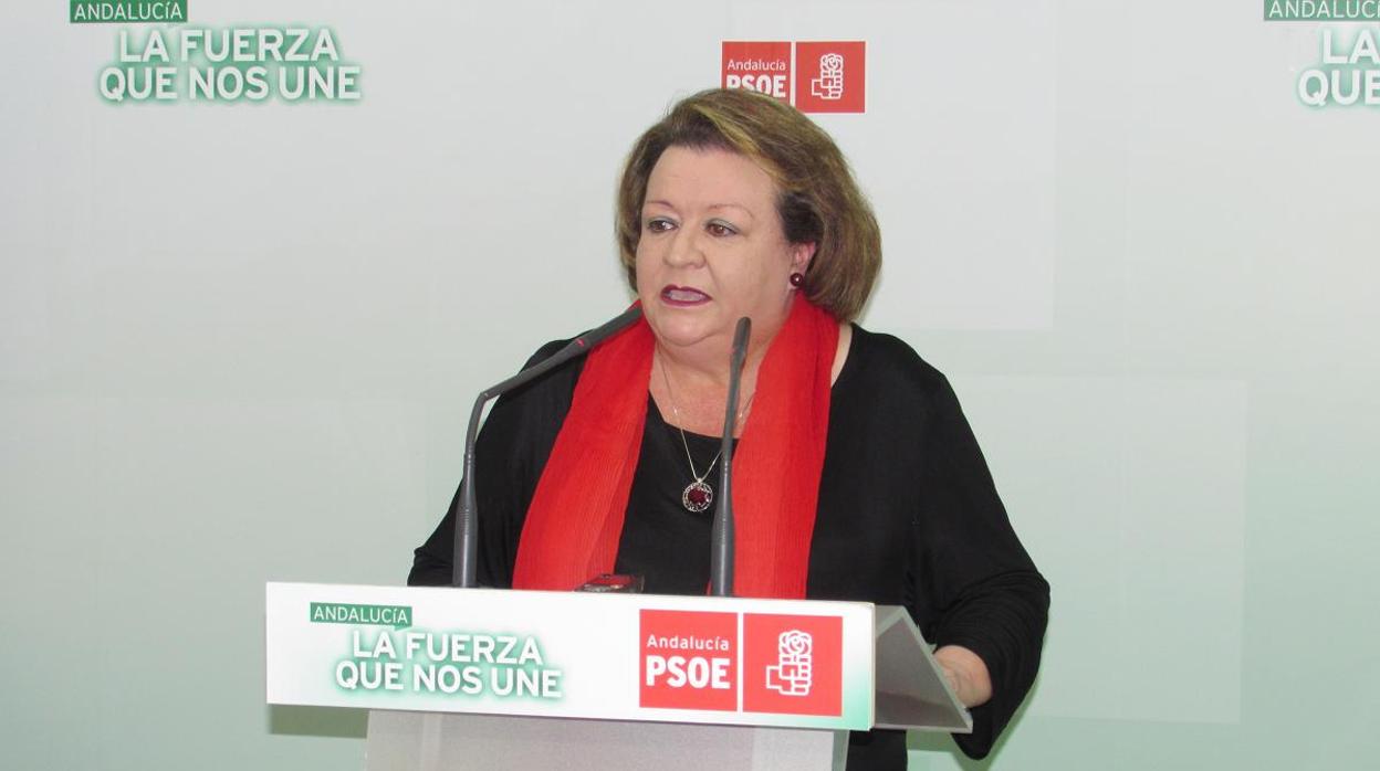 La vicepresidenta primera de la Diputación, Pilar Parra, en un acto del PSOE