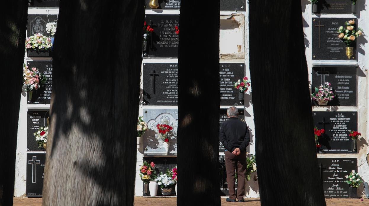 El cementerio de la Salud, en el Día de los Difuntos del año pasado