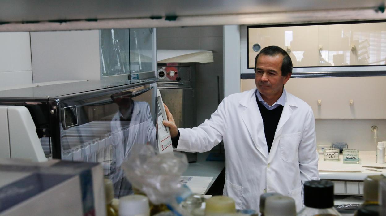 José Pérez Arévalo, en su laboratorio de investigación