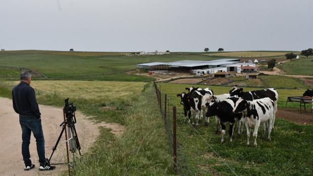 Muere un niño de 8 años en Pozoblanco (Córdoba) tras ser arrollado por un remolque