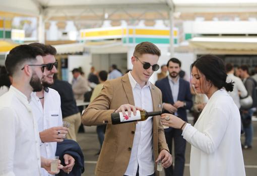 Todo lo que debes saber sobre la Cata del Vino 2019 de Córdoba